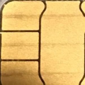 Meet your Posher, Tashi